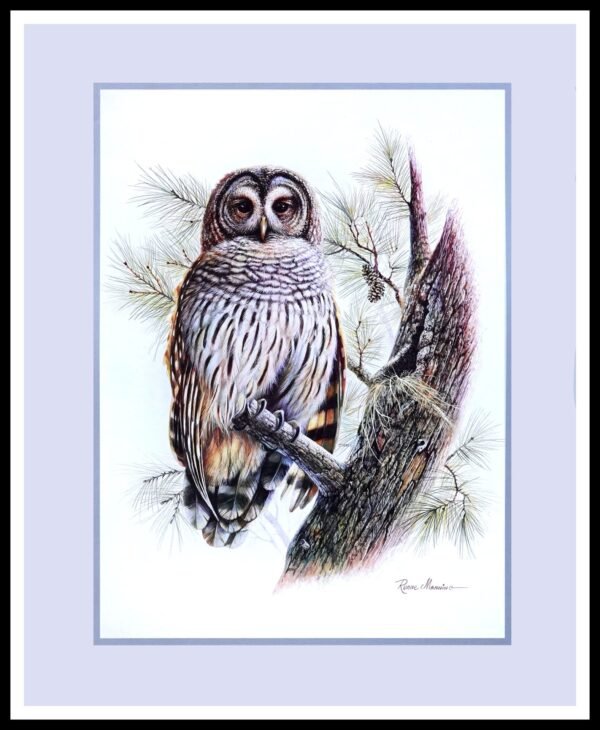 DAC 50220 Whisper of Wings